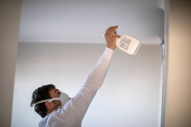 Best Mold Remediation  in Lakeland, NY