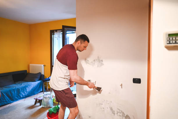 Mold Testing and Removal in Lakeland, NY